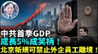 中共公布首季GDP成长政府可对外企直接调查(视频)