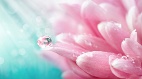 芳华入喉一场关于春天的风雅故事(视频)