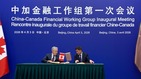 加财长率金融巨头访华推动贸易回暖引批评(图)