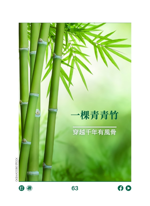 一棵青青竹 穿越千年有风骨