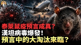 泰莱预言成真安第斯病毒爆发(视频)
