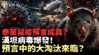 泰萊預言成真安第斯病毒爆發(視頻)