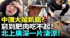 中國大鬧飢餓人民窮到肥肉吃不起(視頻)