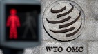 台湾受阻WTO部长会议美议员致函秘书长表关切(图)