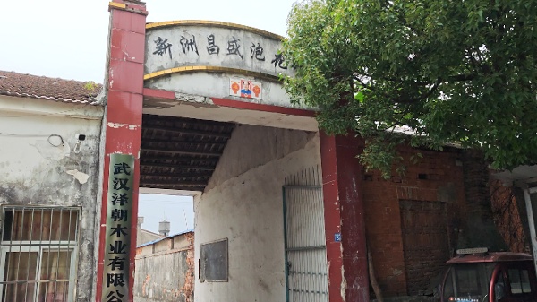 造成大量村民患癌的武漢市新洲區昌盛泡花鹼廠。