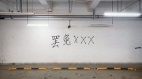 西安石油大学停车场惊现反习标语(图)