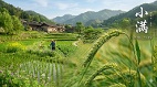 小满湿气重易发胖多吃这4食物排湿气(图)