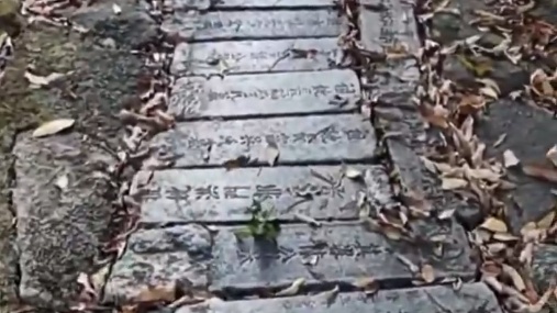 无锡国家森林公园竟用墓碑铺山路 引发众怒(图)