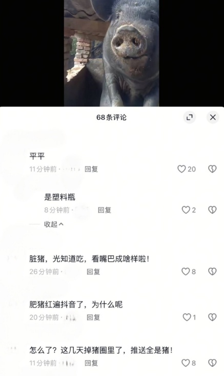 网民
