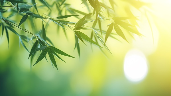 立夏