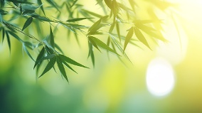 古人在立夏为何称体重“不疰夏”又是什么(图)