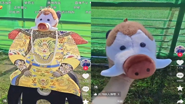 网友