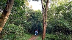 城市中拥抱自然“林口森林步道”踏青趣(组图)