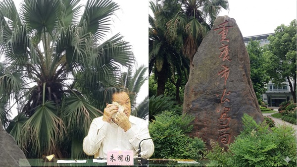 朱明國