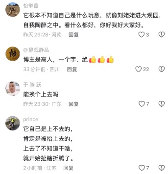 网民
