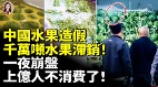 中國水果造假千萬噸水果滯銷一夜崩盤(視頻)