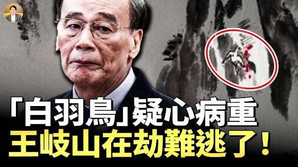 拚死拔除自身最后一根羽毛！习近平连斩多虎 硬闯“岐山”(视频)
