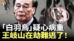 拚死拔除自身最后一根羽毛习近平连斩多虎硬闯“岐山”(视频)
