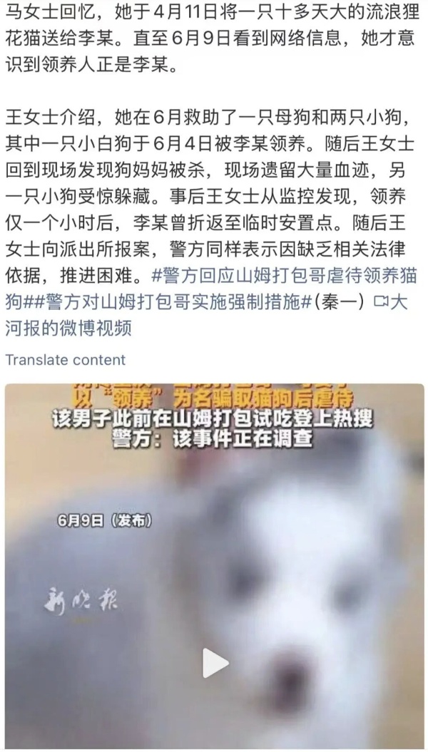 虐狗