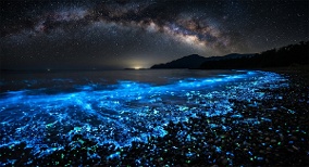 星空在海面蓝色光芒来自生物的奇观(图)