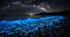 星空在海面蓝色光芒来自生物的奇观(图)