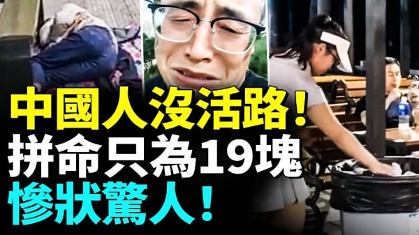 中国人没活路拼命只为19块实拍最惨一代人(视频)