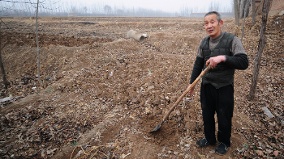习到政敌地盘考察蔡奇罕见未随行德州欢迎式学朝鲜(图)