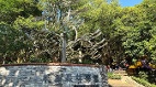 桃园虎头山奥尔森林学堂&全龄友善步道(组图)