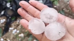 河北多地6月冰雹大如雞蛋人被砸蒙西瓜被砸爛(圖)