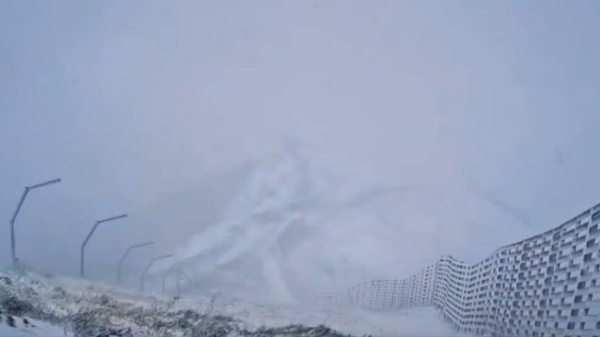 北京竟六月飞雪 冲顶热搜(组图)