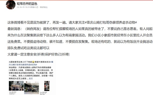 网民