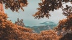 灵修秘境之海外仙山(图)