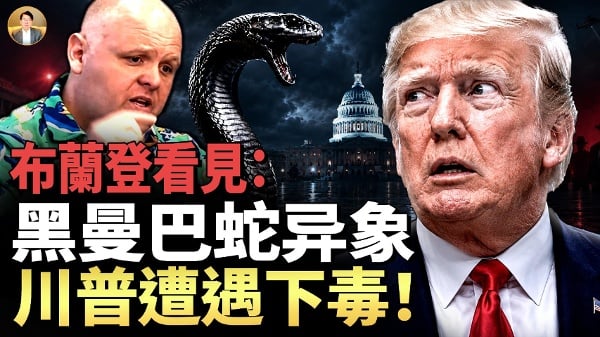 第三位盟友轰然倒下川普孤影背后的致命杀局(视频)