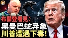 第三位盟友轟然倒下川普孤影背後的致命殺局(視頻)