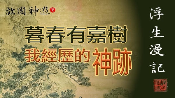 【浮生漫记】暮春有嘉树——我亲见的神迹(图)