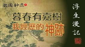 【浮生漫记】暮春有嘉树——我亲见的神迹(视频)