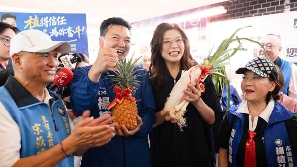 郑丽文拜票出状况被问票房毒药民众酸“共产党加油”超尴尬(图)