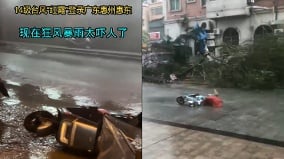 強颱風「紅霞」登陸廣東肆虐恐怖視頻曝光全省急撤71萬人(圖)