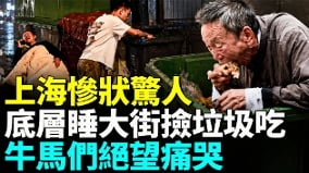 上海30年繁华落幕普通人快撑不住了(视频)