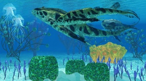 嘴巴在腹部身披天然重甲的「盾皮魚」(圖)