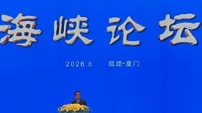 「統戰」活動如何定義陸委會一語道破(圖)