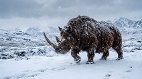 从洞穴壁画走出的远古生物冰原上的长毛巨兽(图)