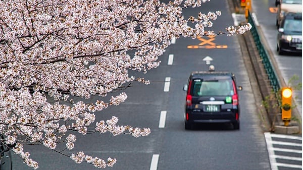 《东京出租车》：一段车程里重新看人生(组图)