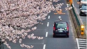《东京出租车》：一段车程里重新看人生(组图)