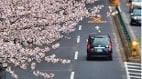 《東京出租車》：一段車程裡重新看人生(組圖)
