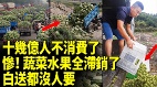 中國水果蔬菜大滯銷果農崩潰大哭(視頻)