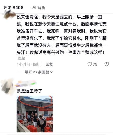 网民