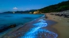 人间潘朵拉星球这片海水碰到会发光(图)