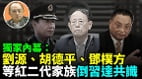 【袁紅冰熱點】獨家內幕：劉源胡德平鄧樸方等紅二代家族倒習達共識(視頻)