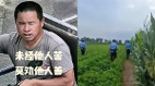 河南男子传刀砍村支书全家在逃警方悬赏5万民称老实人(组图)